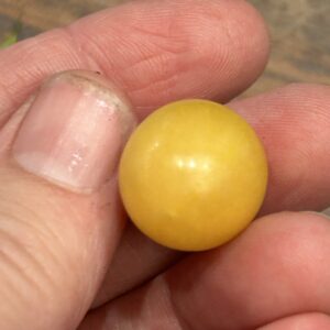 A thumb sized yellow tomatillo.