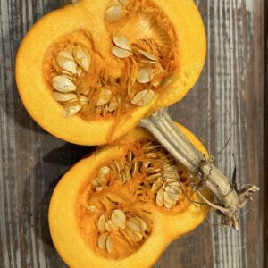 New England Pie Pumpkin Seed