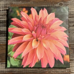 8x8 inch framed canvas