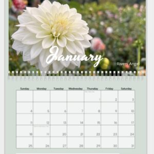 2026 Dahlia Calendar 17x11